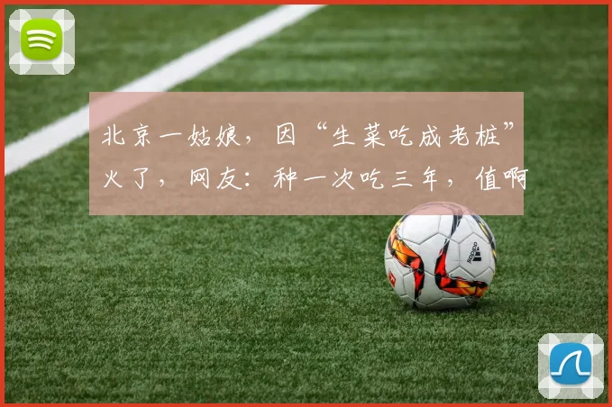北京一姑娘，因“生菜吃成老桩”火了，网友：种一次吃三年，值啊
