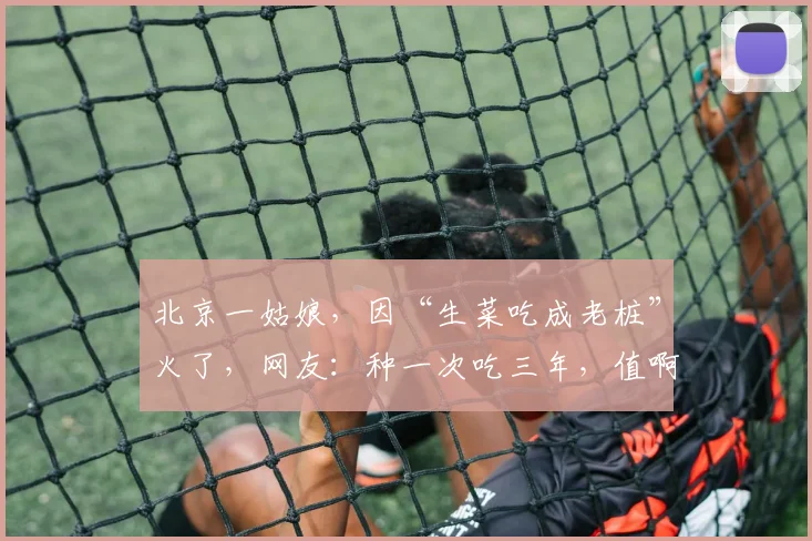 北京一姑娘，因“生菜吃成老桩”火了，网友：种一次吃三年，值啊